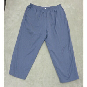 Vtg Alfred Dunner Women Gray Elastic Waist Pull On Pleated Casual Pant Plus 22W